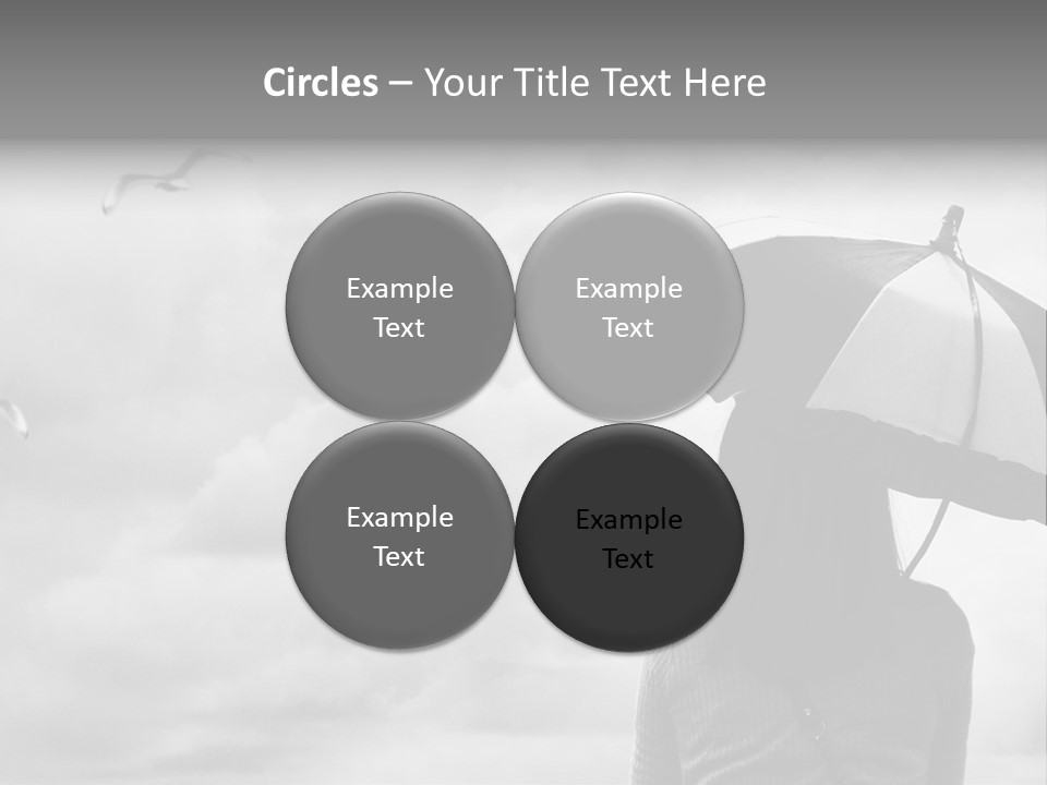 Seagull Nature Wait PowerPoint Template