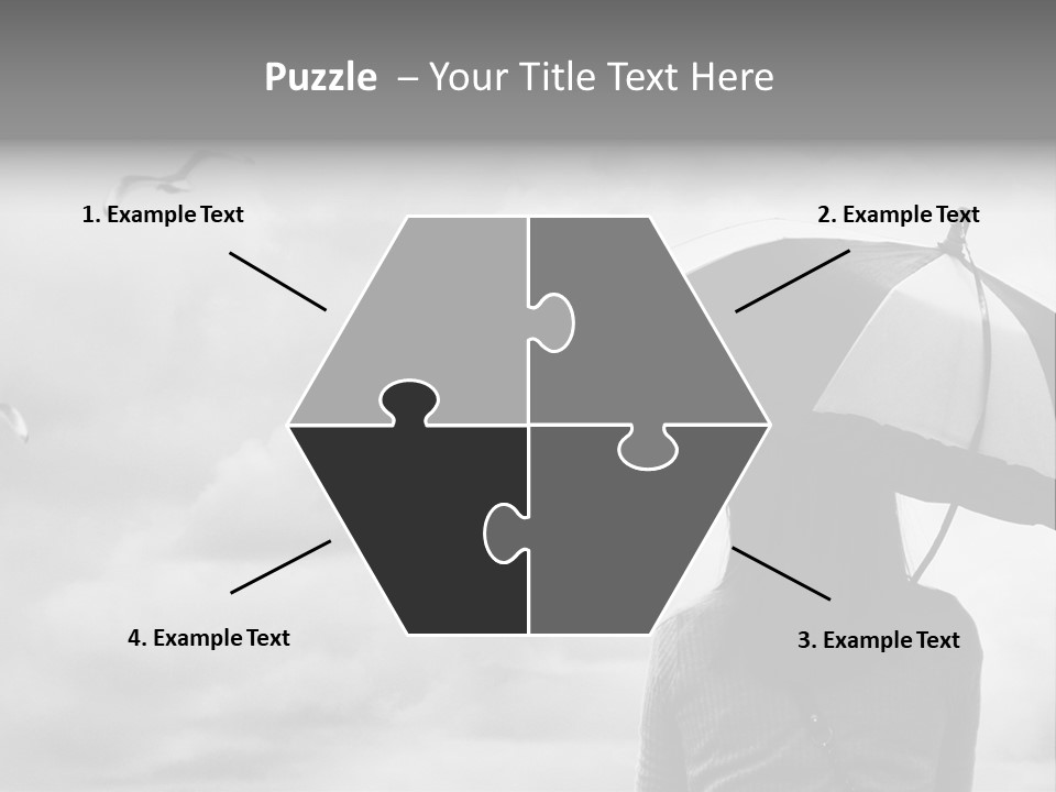 Seagull Nature Wait PowerPoint Template