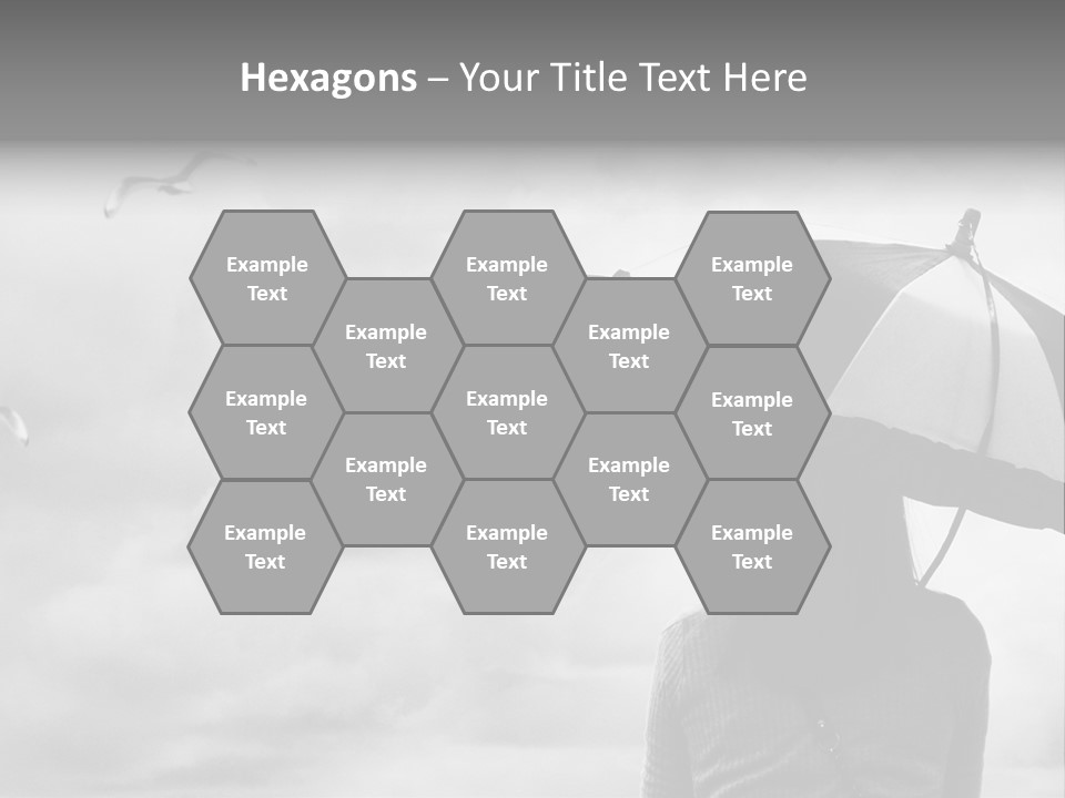 Seagull Nature Wait PowerPoint Template