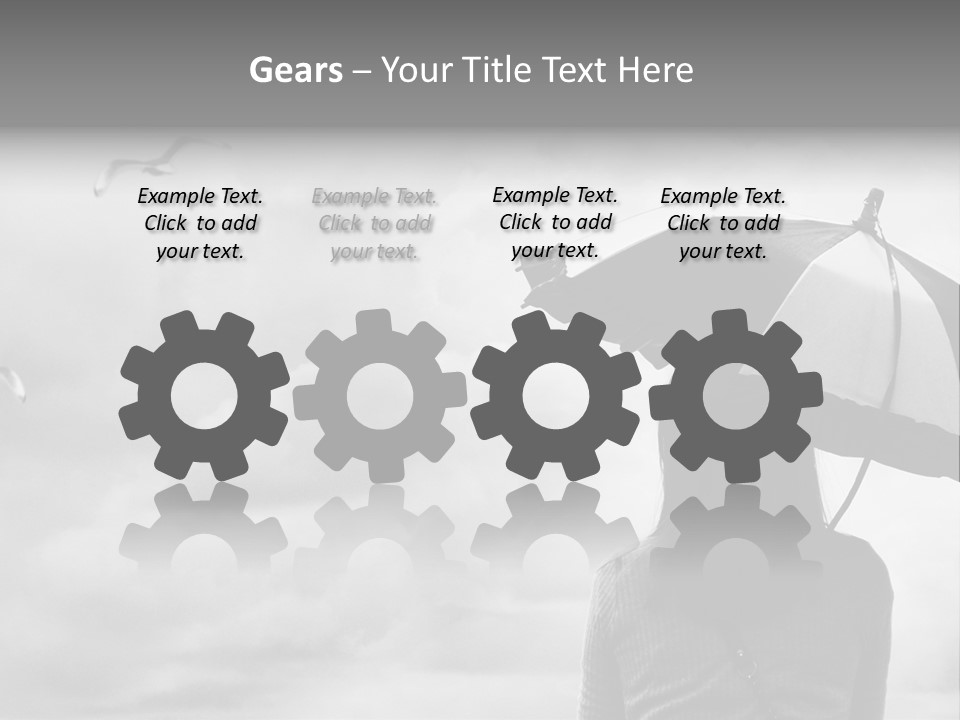 Seagull Nature Wait PowerPoint Template