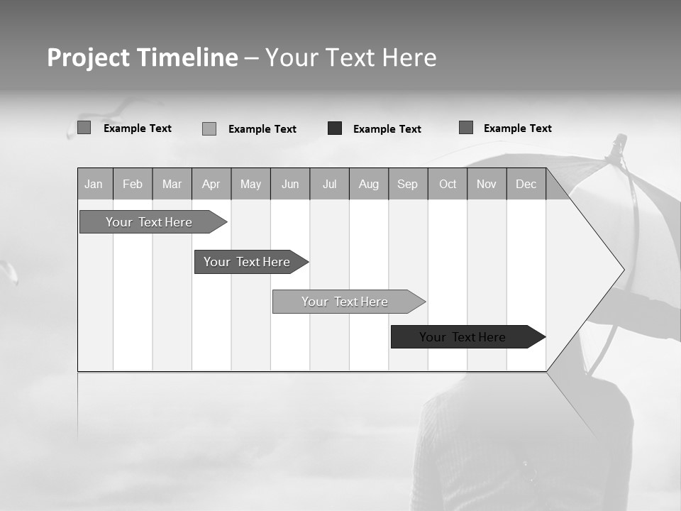 Seagull Nature Wait PowerPoint Template