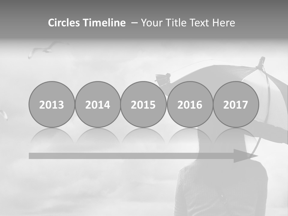 Seagull Nature Wait PowerPoint Template