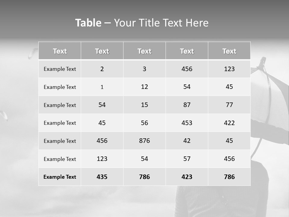 Seagull Nature Wait PowerPoint Template