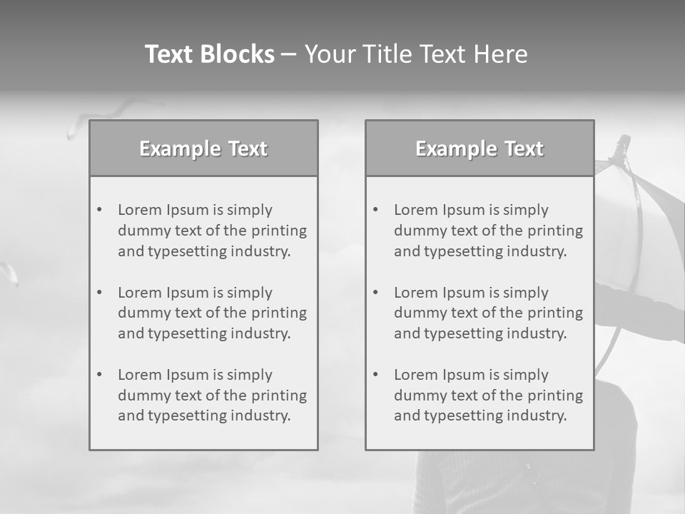 Seagull Nature Wait PowerPoint Template