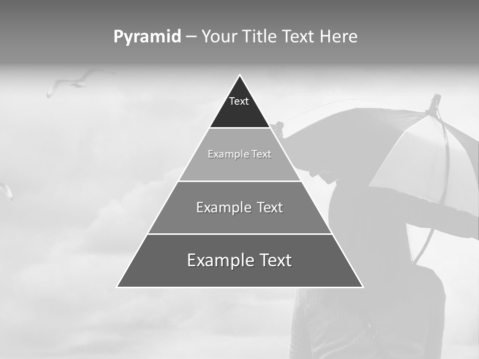 Seagull Nature Wait PowerPoint Template