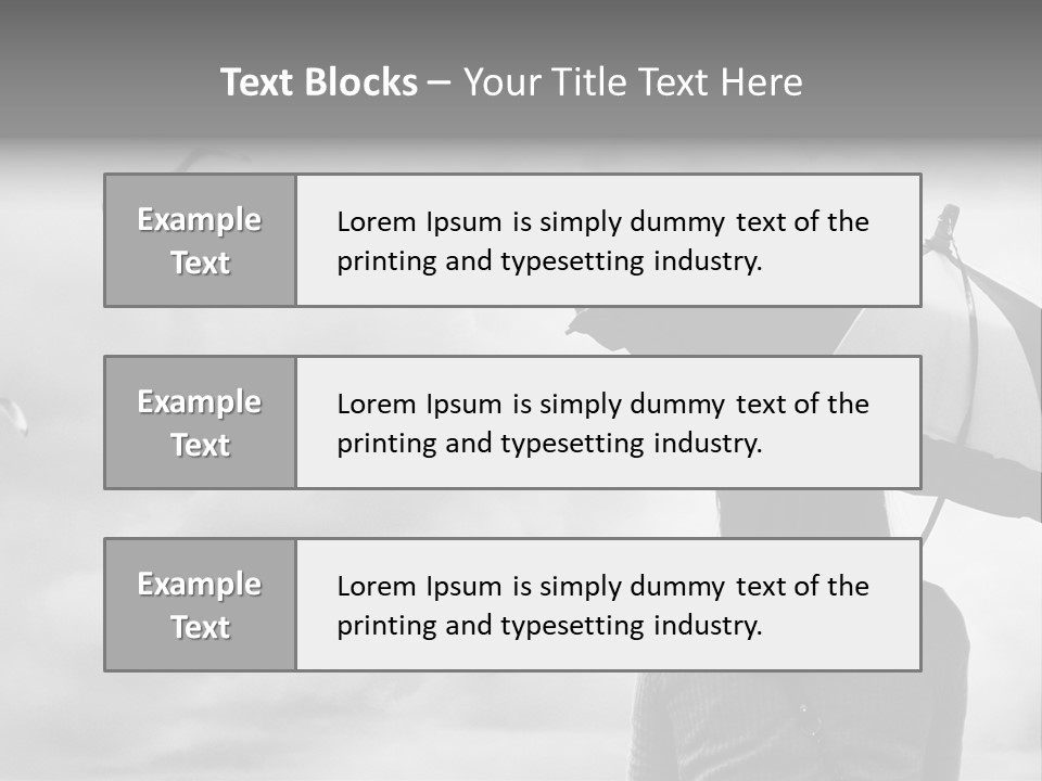 Seagull Nature Wait PowerPoint Template