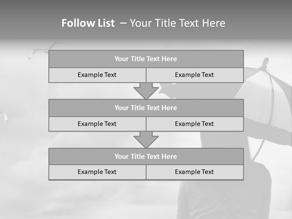 Seagull Nature Wait PowerPoint Template