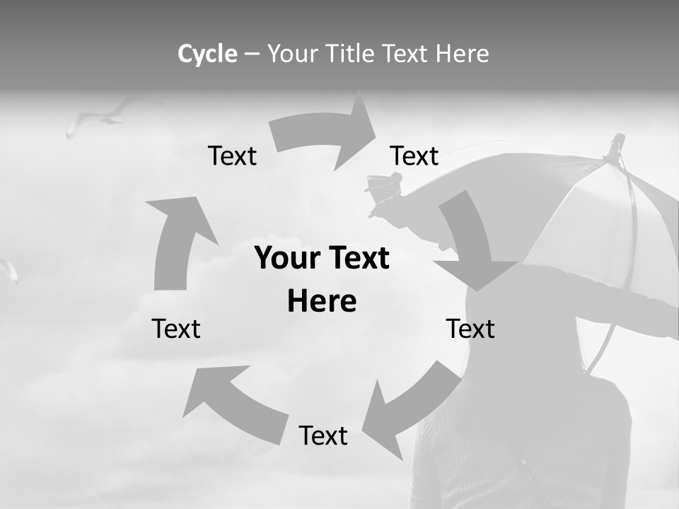 Seagull Nature Wait PowerPoint Template