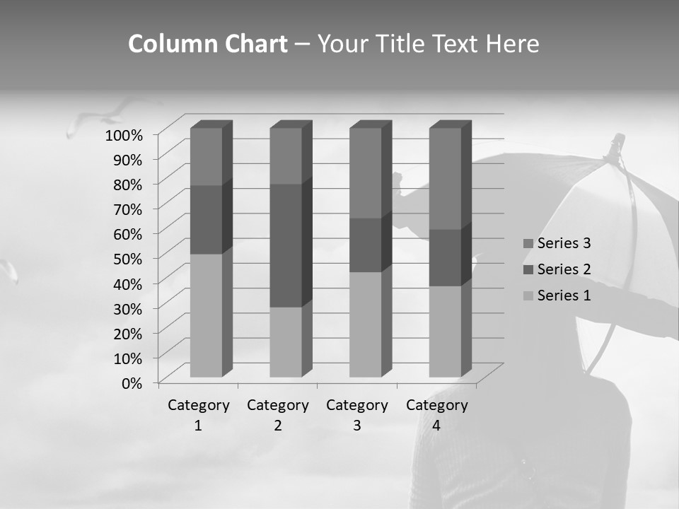Seagull Nature Wait PowerPoint Template