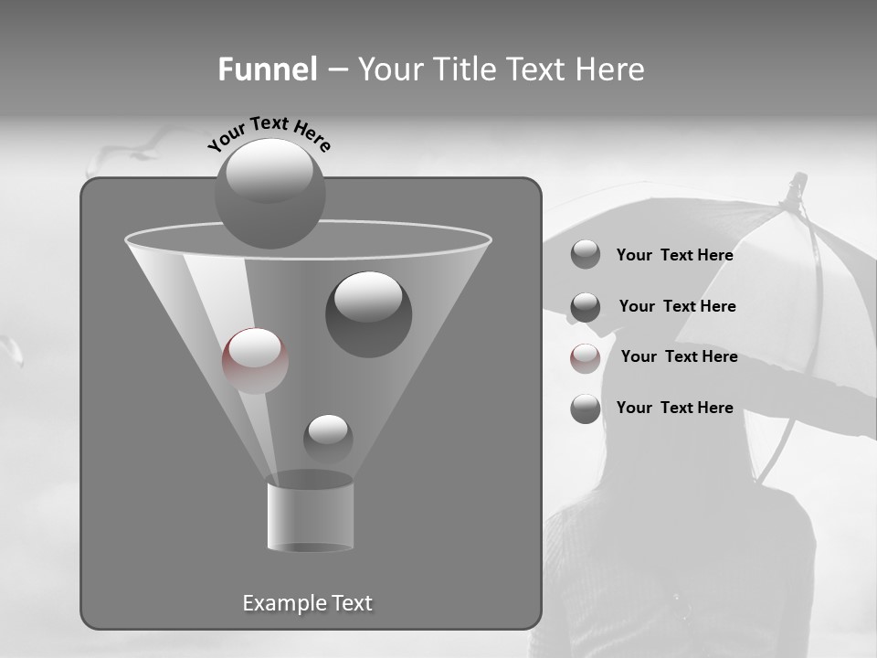 Seagull Nature Wait PowerPoint Template