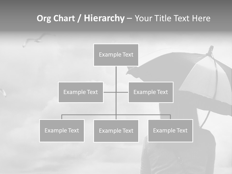 Seagull Nature Wait PowerPoint Template