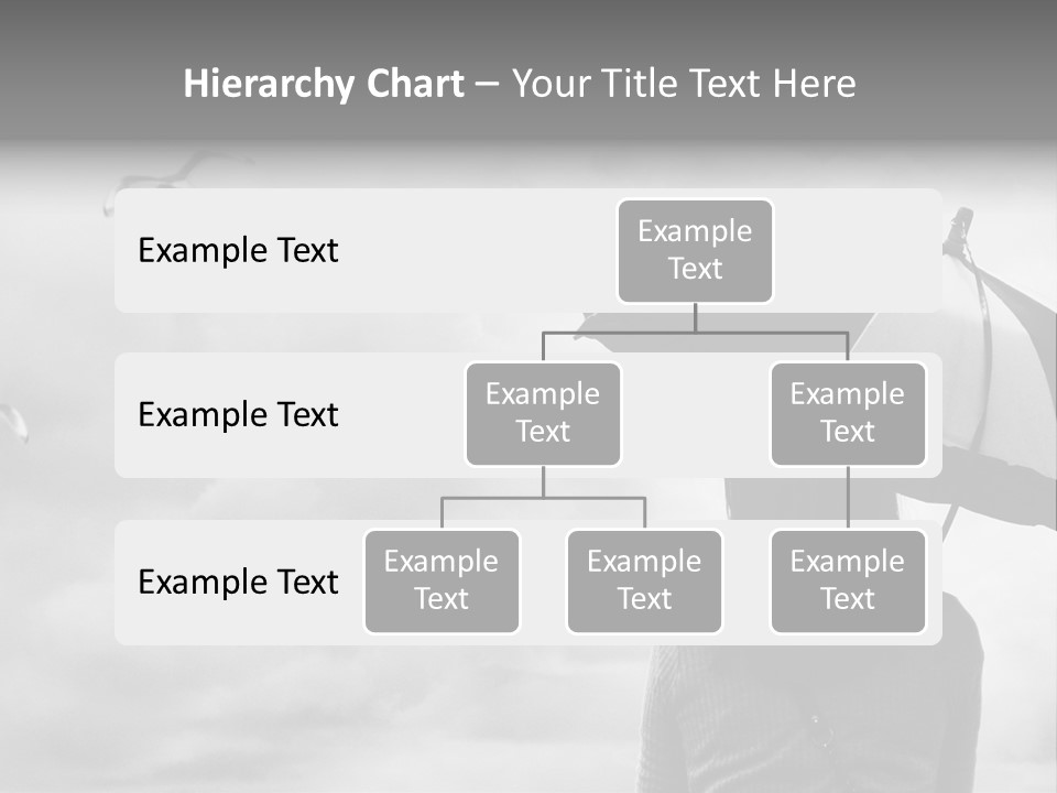 Seagull Nature Wait PowerPoint Template