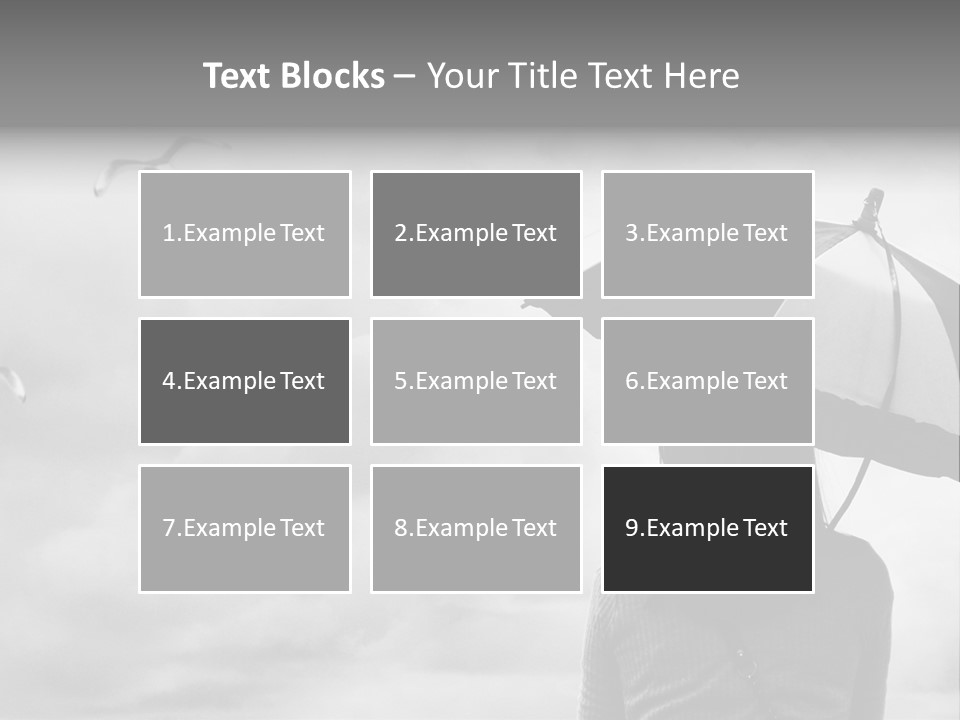 Seagull Nature Wait PowerPoint Template