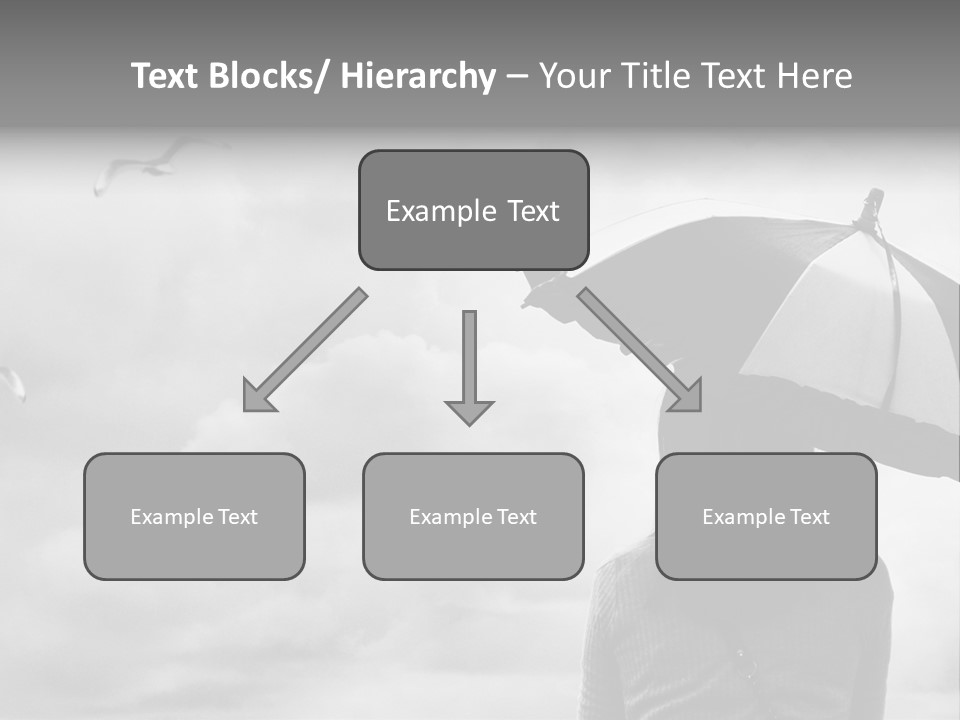 Seagull Nature Wait PowerPoint Template