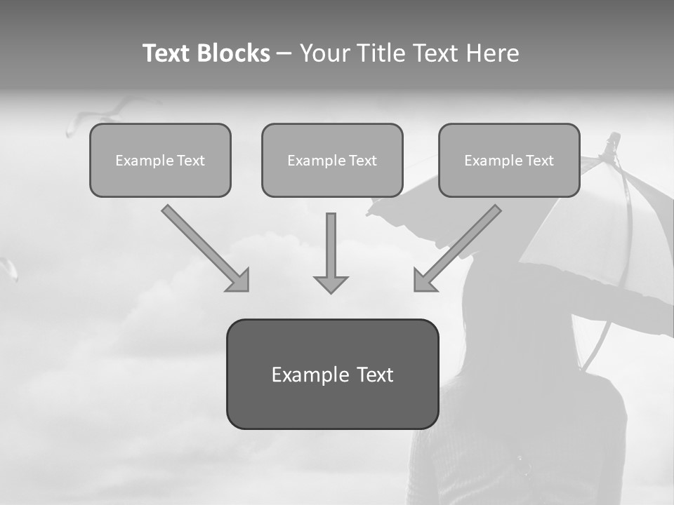 Seagull Nature Wait PowerPoint Template