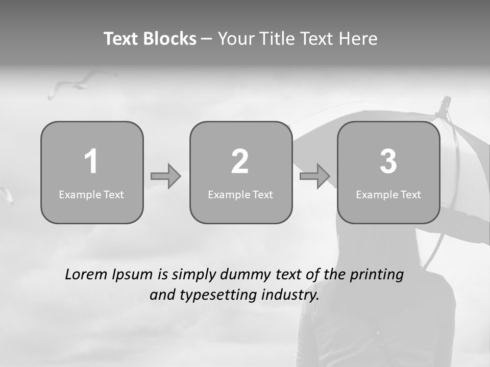 Seagull Nature Wait PowerPoint Template