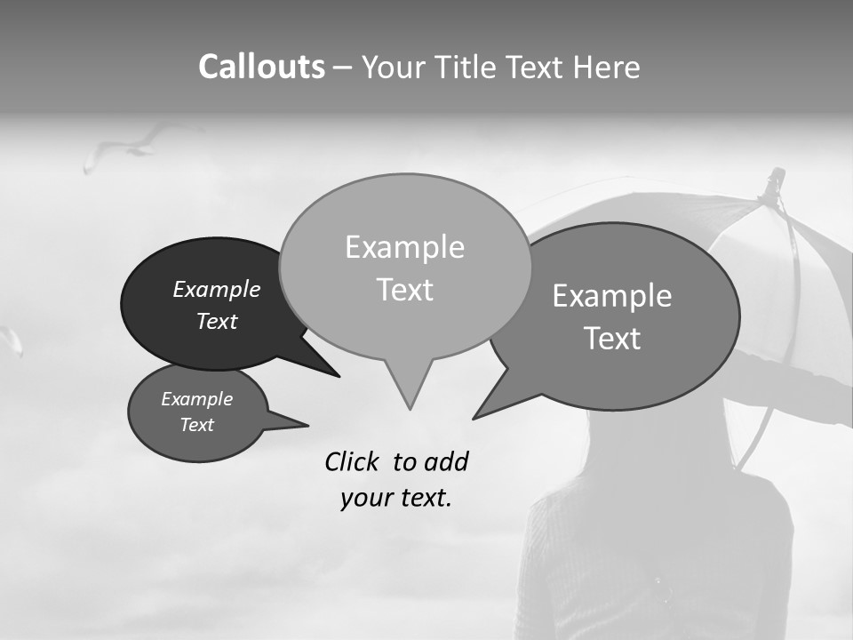 Seagull Nature Wait PowerPoint Template