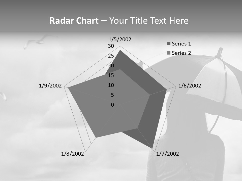 Seagull Nature Wait PowerPoint Template