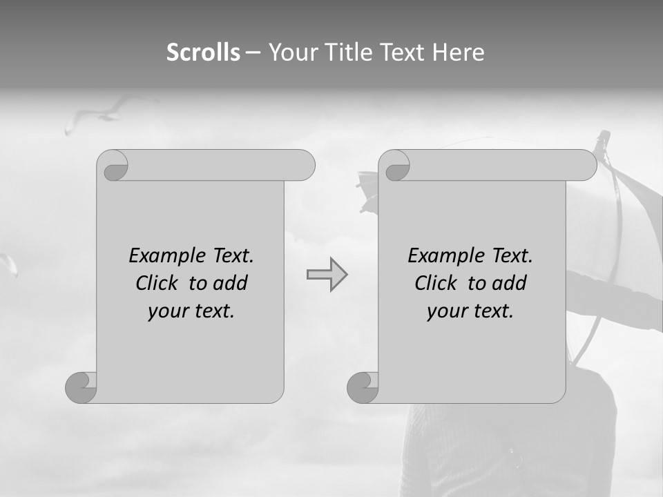 Seagull Nature Wait PowerPoint Template