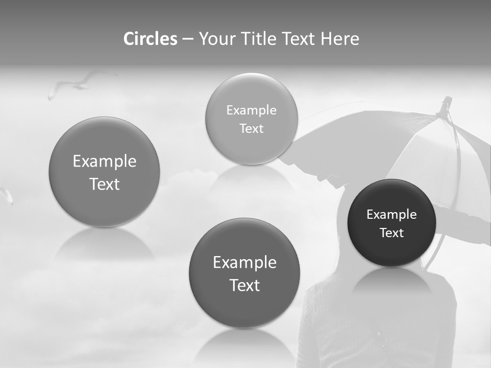 Seagull Nature Wait PowerPoint Template