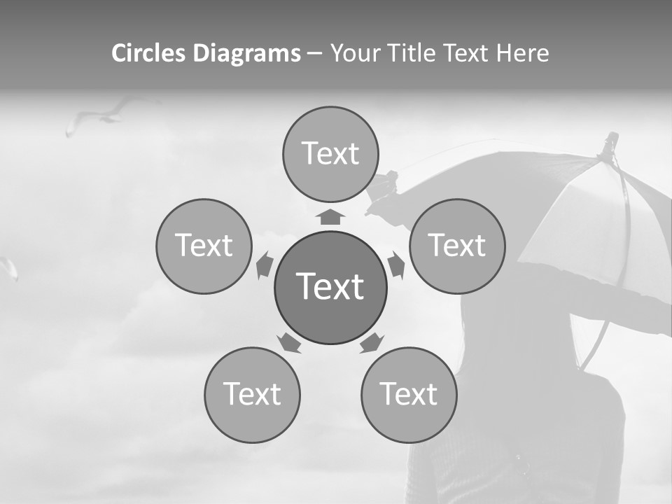 Seagull Nature Wait PowerPoint Template