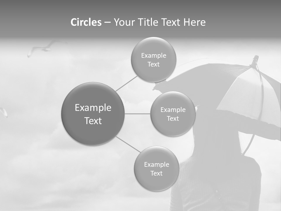 Seagull Nature Wait PowerPoint Template