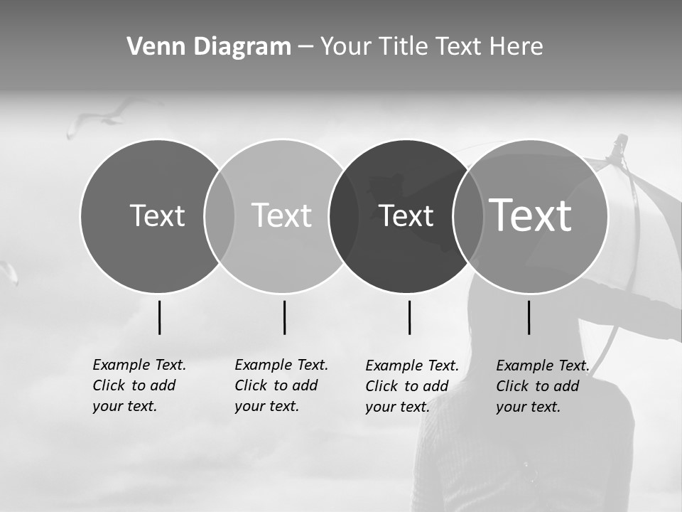 Seagull Nature Wait PowerPoint Template