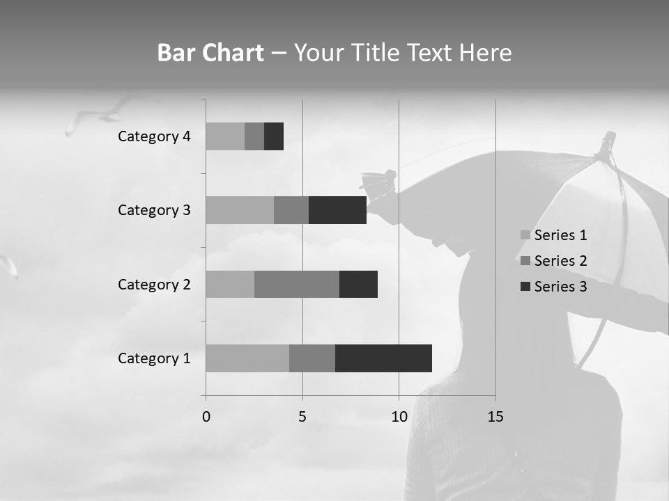 Seagull Nature Wait PowerPoint Template