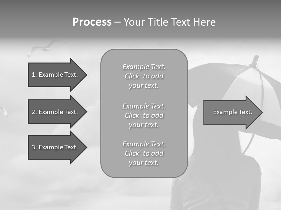 Seagull Nature Wait PowerPoint Template