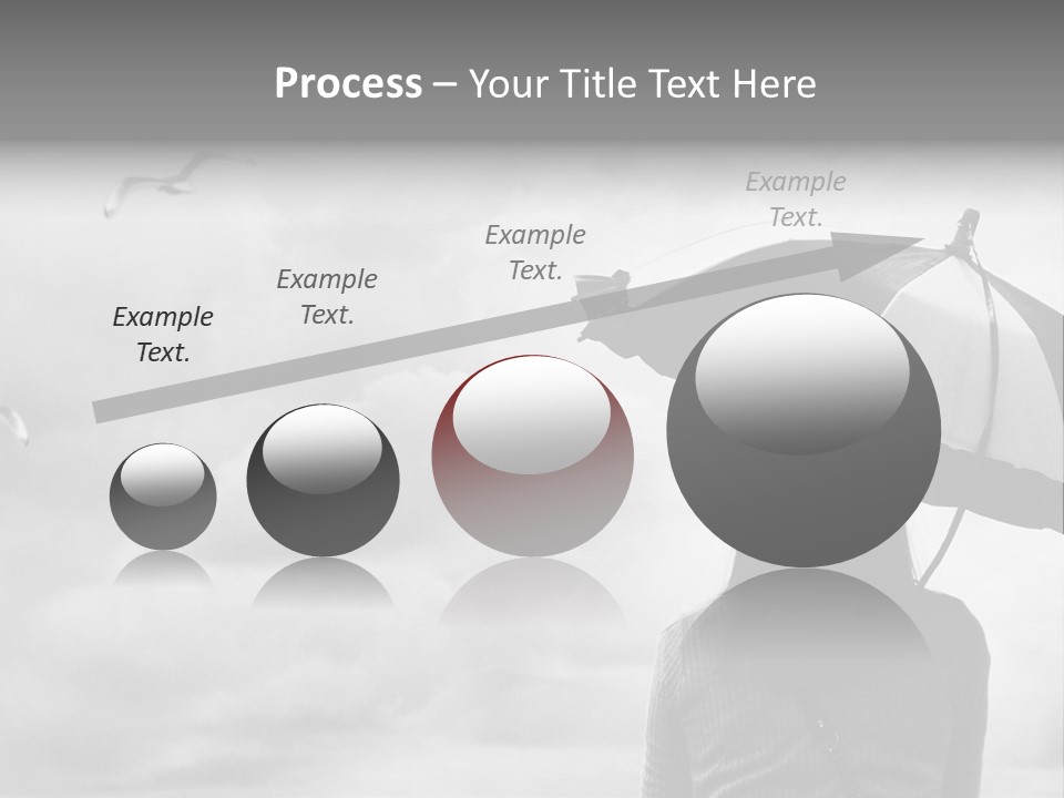 Seagull Nature Wait PowerPoint Template