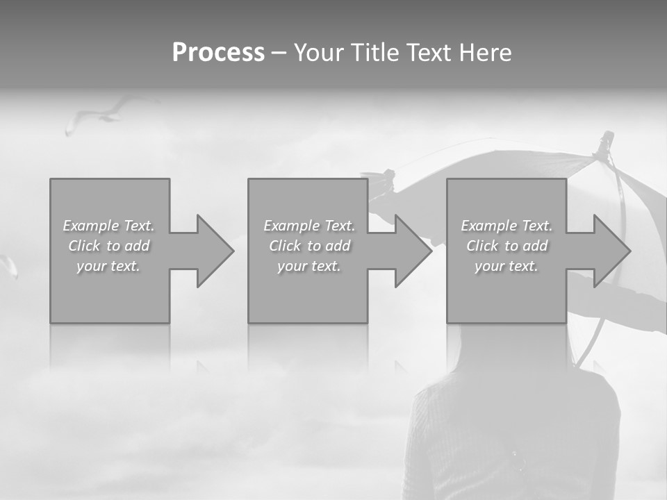 Seagull Nature Wait PowerPoint Template