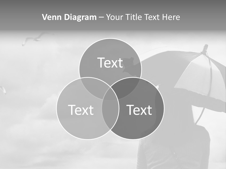 Seagull Nature Wait PowerPoint Template