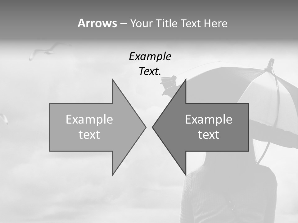 Seagull Nature Wait PowerPoint Template