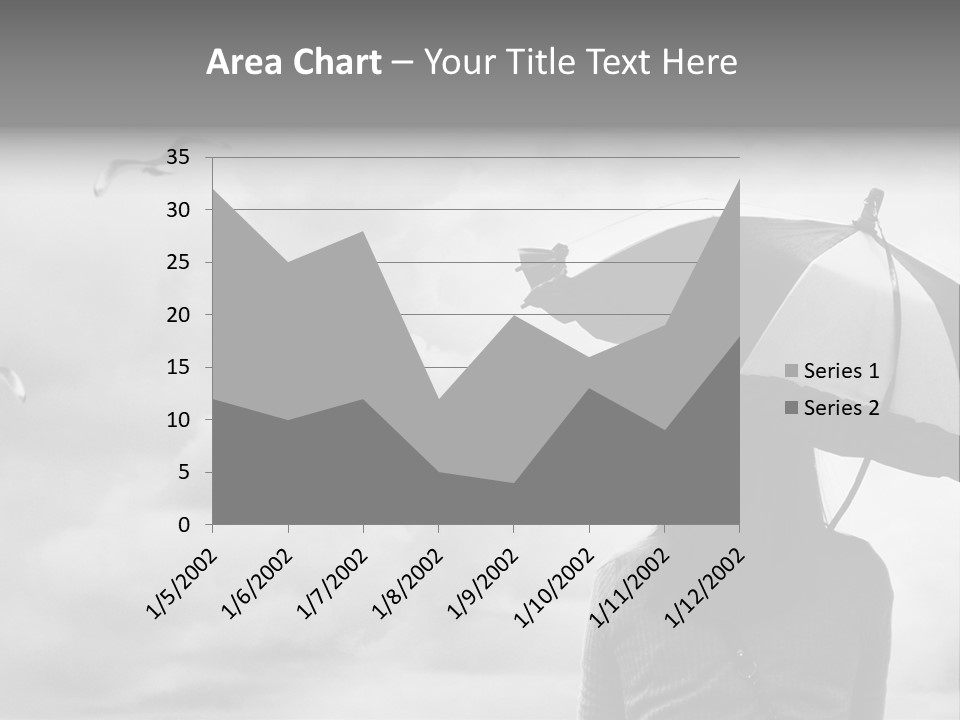 Seagull Nature Wait PowerPoint Template