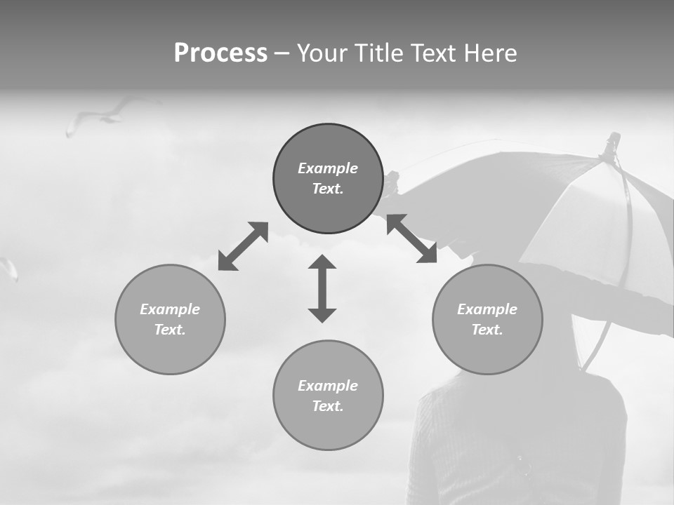 Seagull Nature Wait PowerPoint Template
