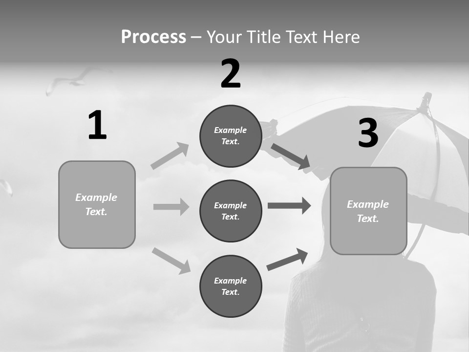 Seagull Nature Wait PowerPoint Template