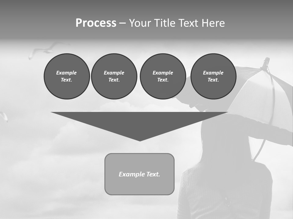 Seagull Nature Wait PowerPoint Template