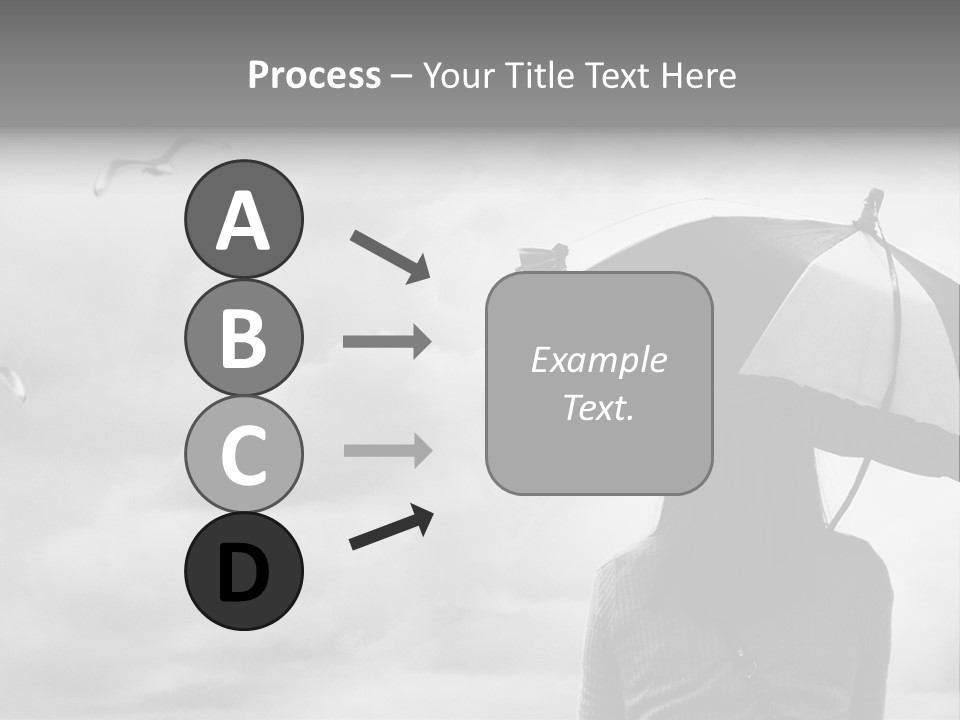 Seagull Nature Wait PowerPoint Template