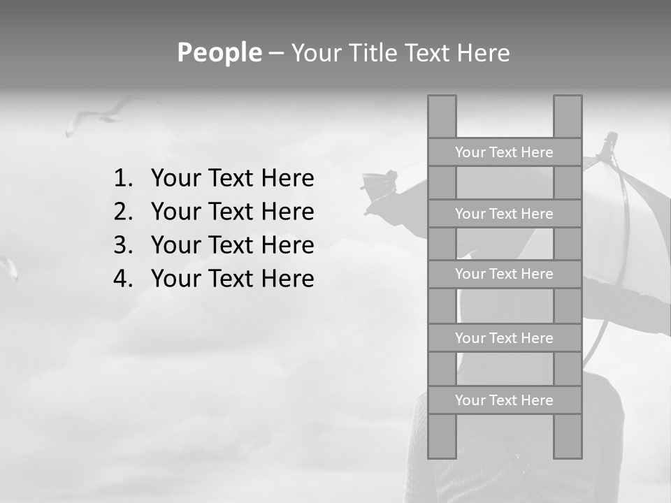 Seagull Nature Wait PowerPoint Template