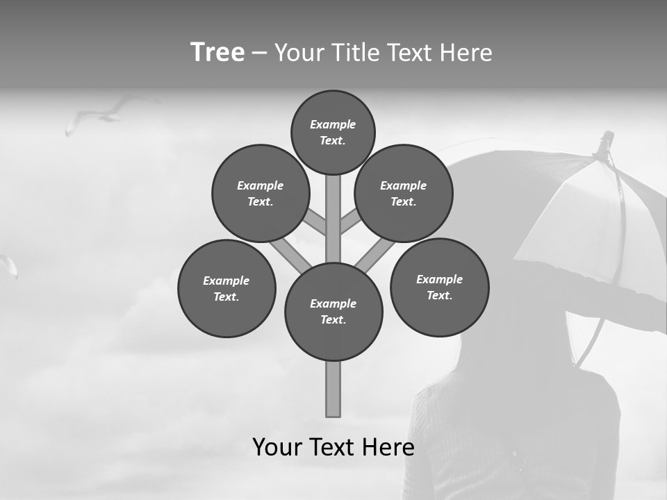 Seagull Nature Wait PowerPoint Template