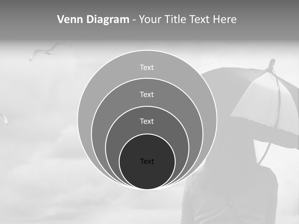 Seagull Nature Wait PowerPoint Template