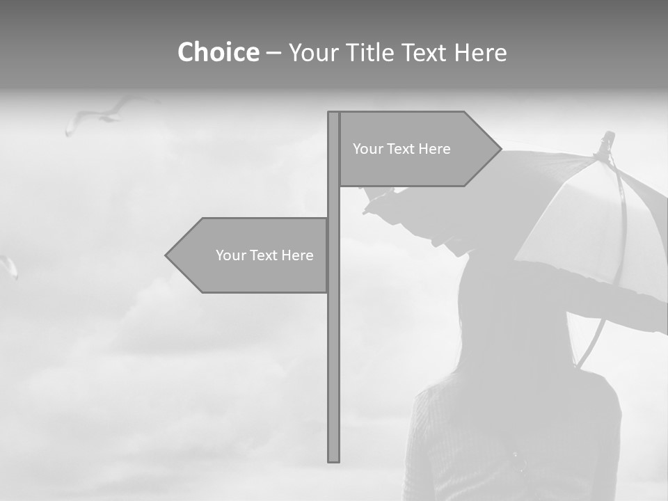 Seagull Nature Wait PowerPoint Template