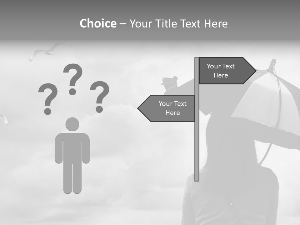 Seagull Nature Wait PowerPoint Template