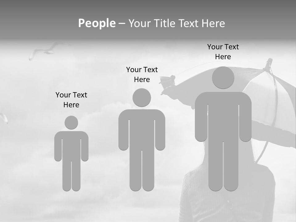 Seagull Nature Wait PowerPoint Template