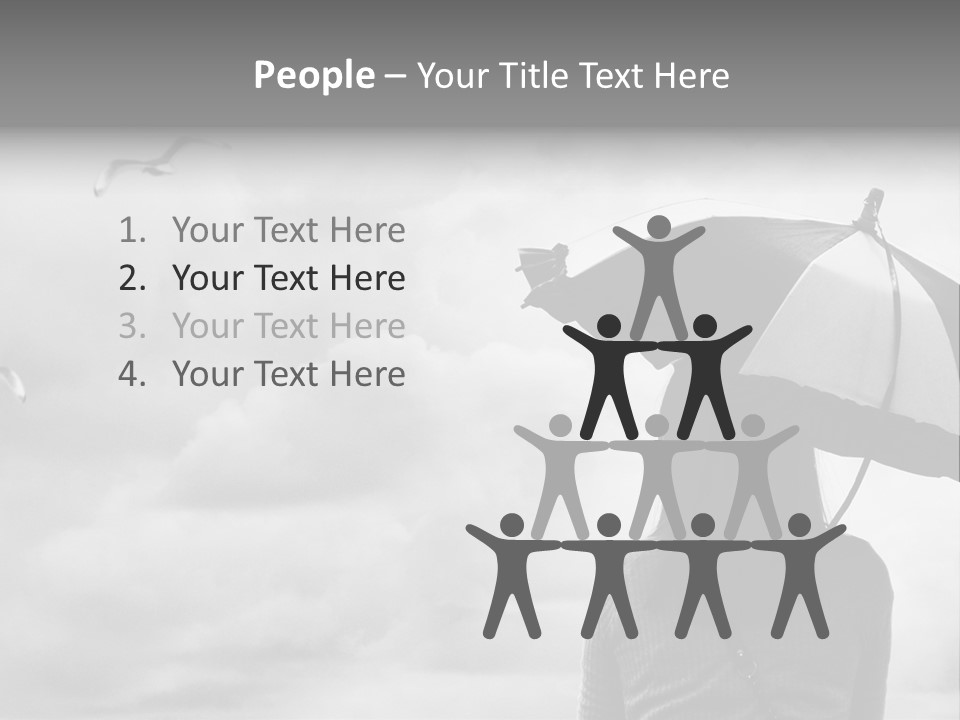 Seagull Nature Wait PowerPoint Template