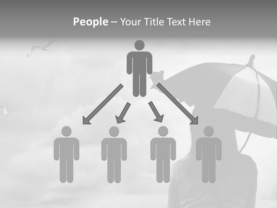 Seagull Nature Wait PowerPoint Template