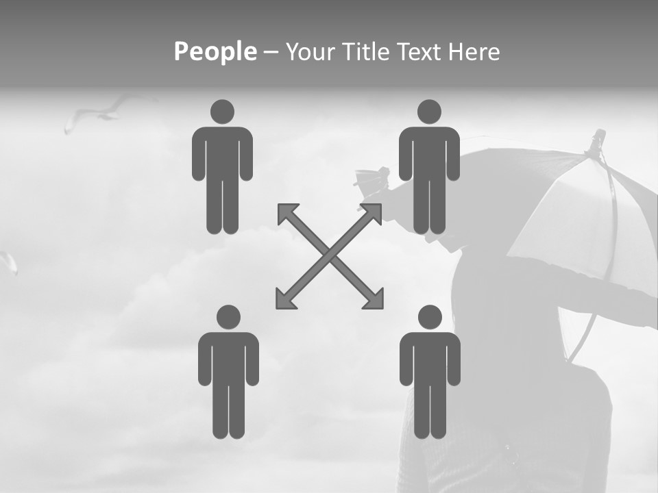 Seagull Nature Wait PowerPoint Template