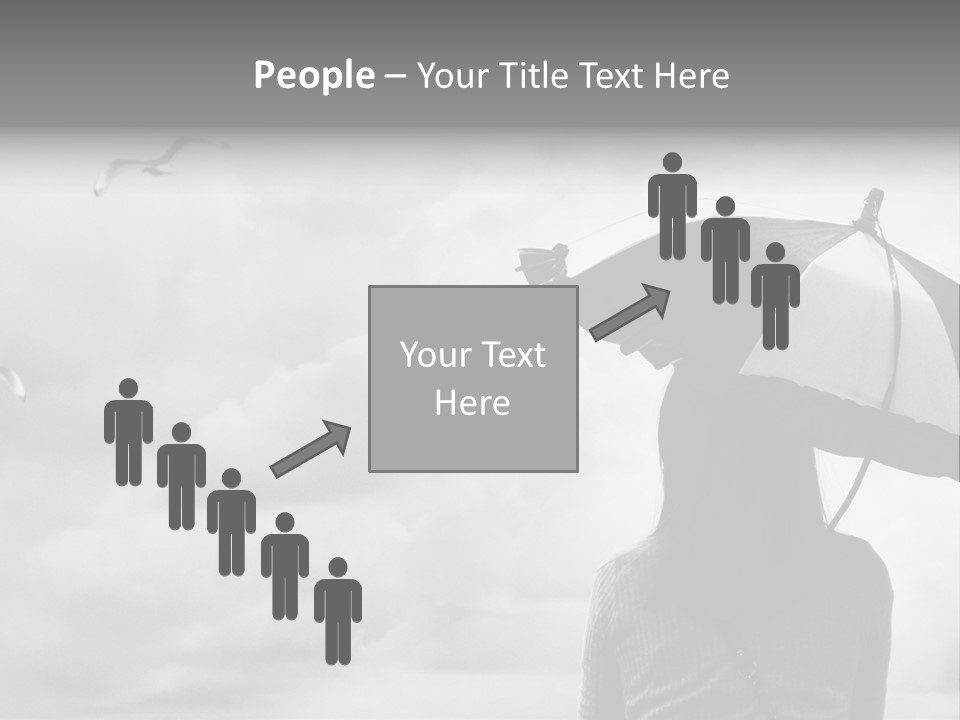 Seagull Nature Wait PowerPoint Template