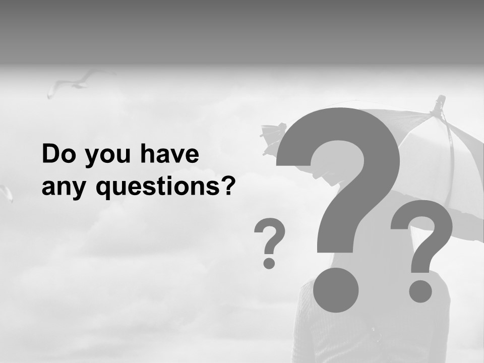 Seagull Nature Wait PowerPoint Template