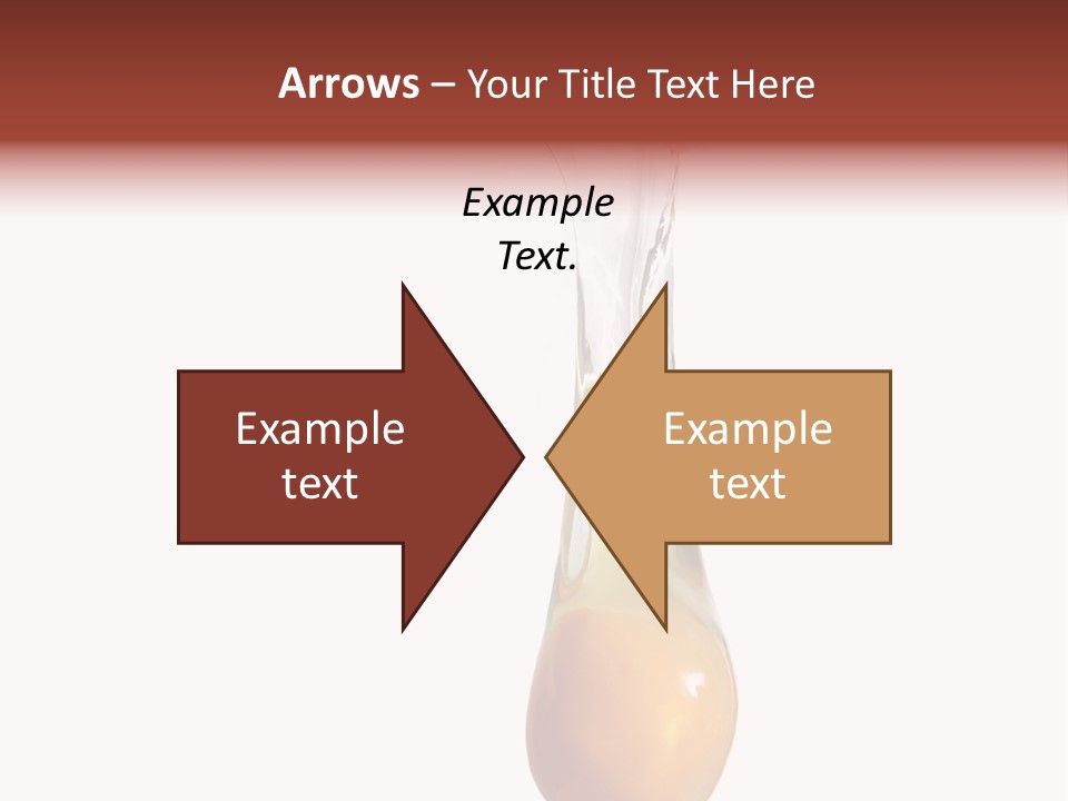 Healthy Chicken Nest PowerPoint Template